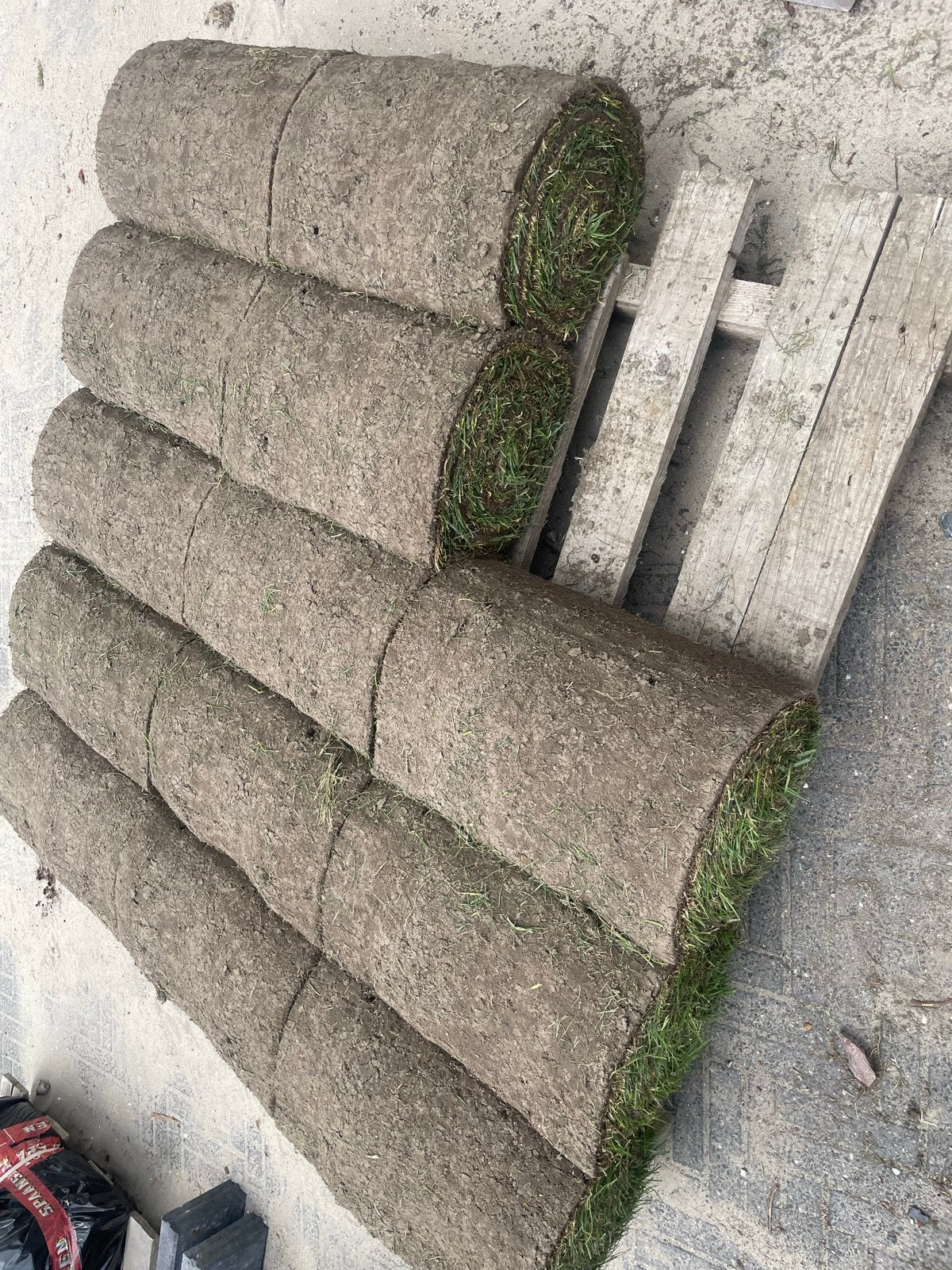 Vers graszoden voor een prachtig gazon, Ophalen, Nieuw, 10 tot 20 m², Gras