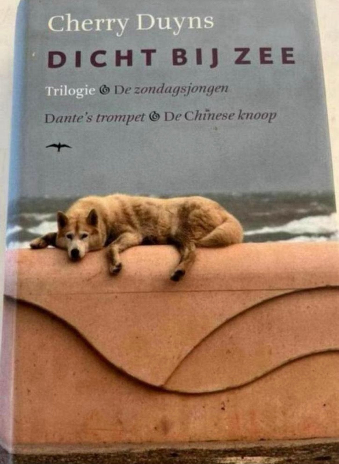 Cherry Duyns - Dicht bij zee trilogie (De zondagsjongen, Dan, Ophalen of Verzenden, Zo goed als nieuw