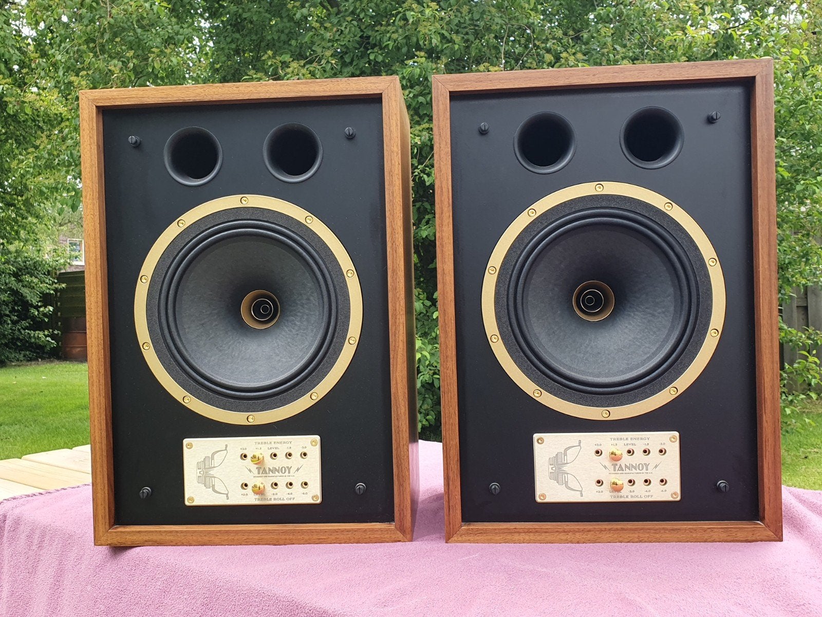 Tannoy Eaton Legacy in absolute nieuwstaat, eerste eigenaar, Audio, Tv en Foto, Luidsprekers, Ophalen of Verzenden, Overige merken
