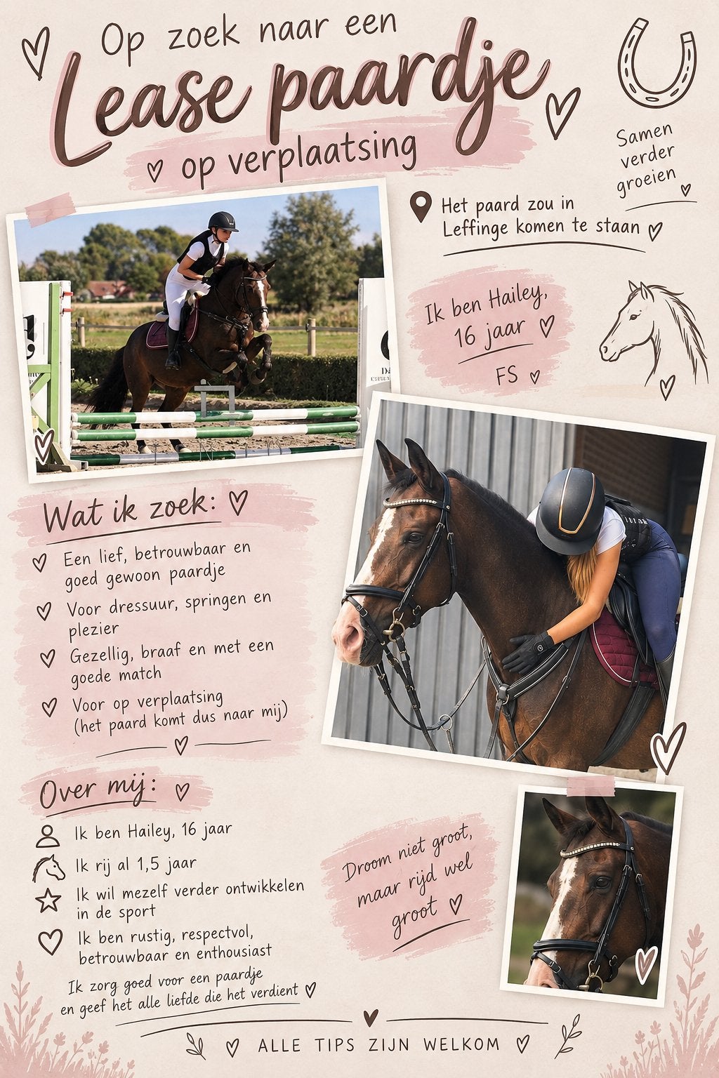 Lease springpaard/pony gezocht op verplaatsing!, Ophalen of Verzenden, Nieuw