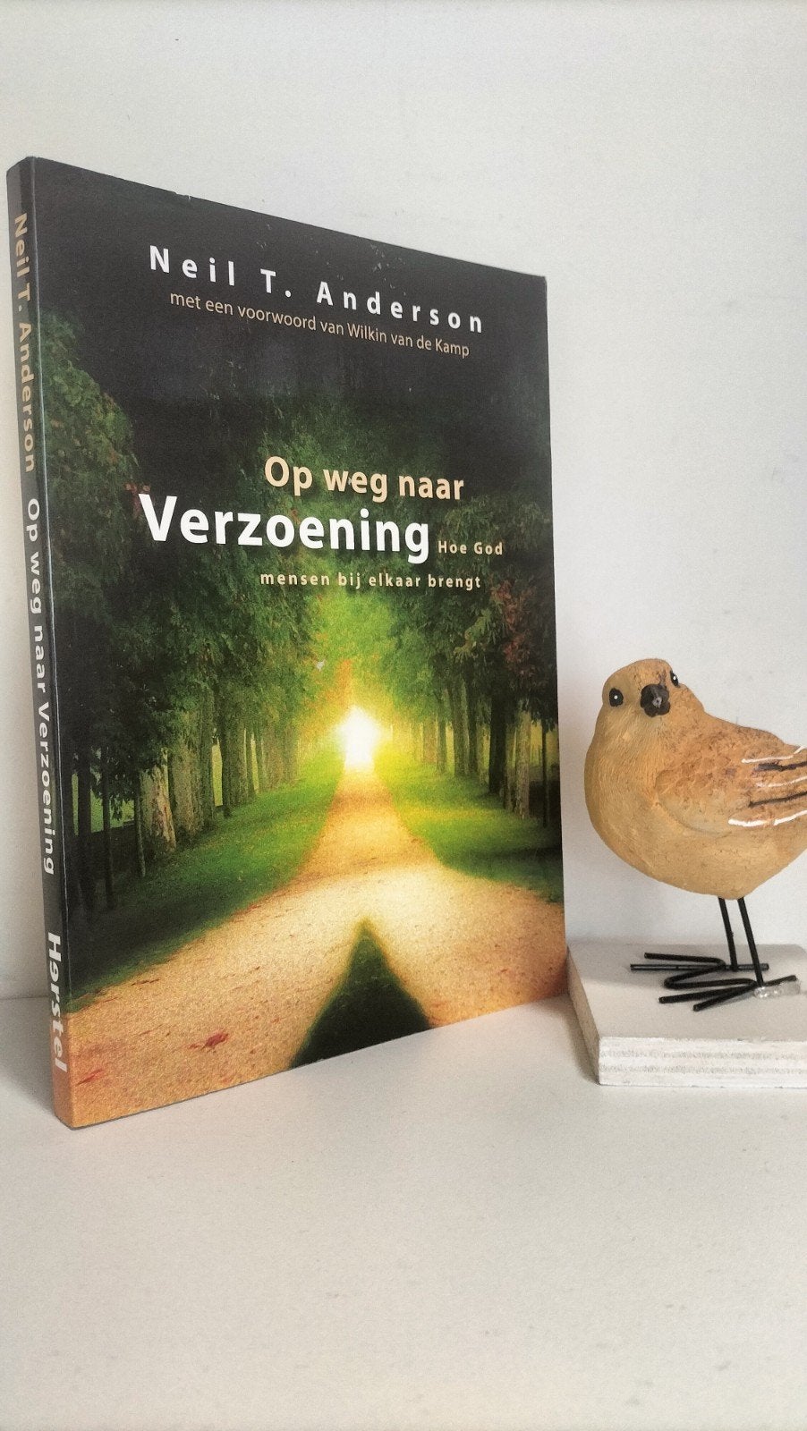 Anderson, Neil T.; Op weg naar verzoening, Boeken, Ophalen of Verzenden, Gelezen, Christendom | Protestants