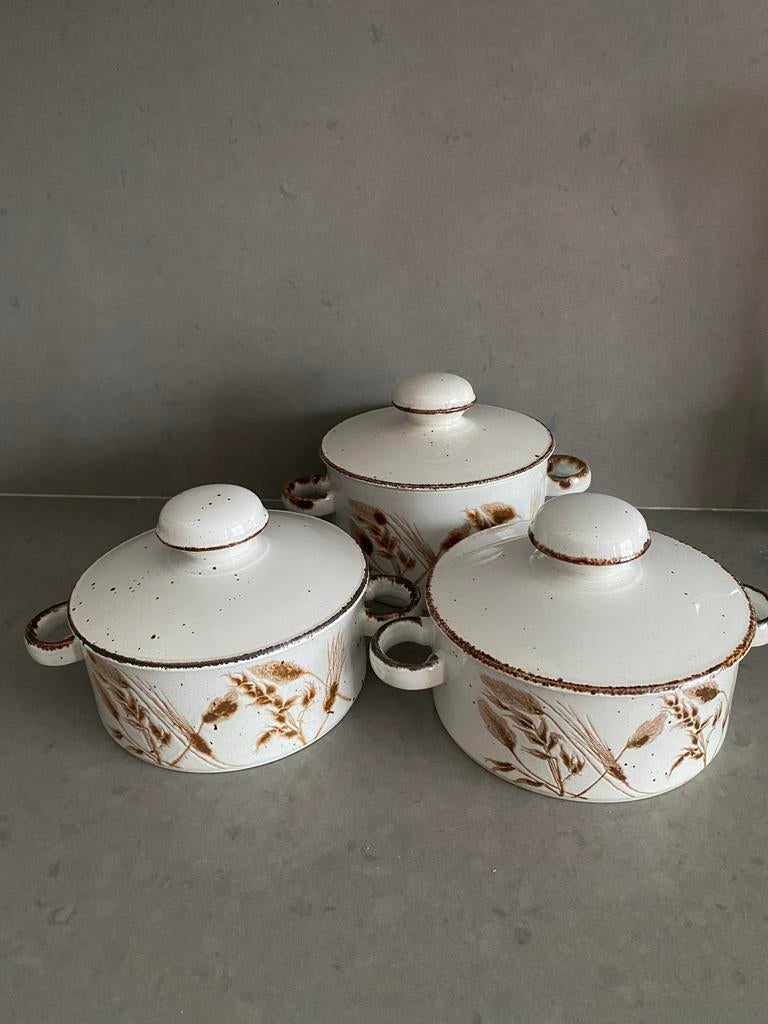 3 dekschalen van Wedgwood Stonehenge Midwinter Wild Oats, Overige typen, Ophalen of Verzenden, Zo goed als nieuw, Wedgwood