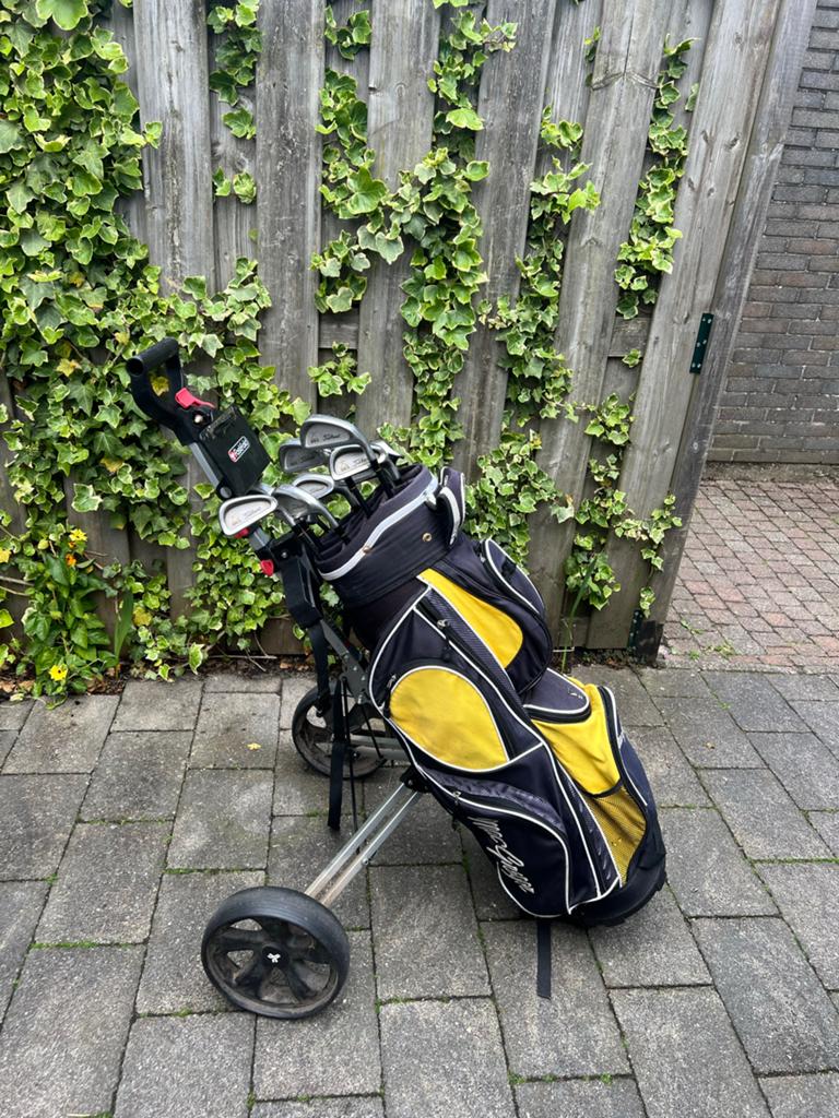 Golfset met Titleist ijzers en golfkar, Sport en Fitness, Golf, Ophalen, Gebruikt, Set, Overige merken