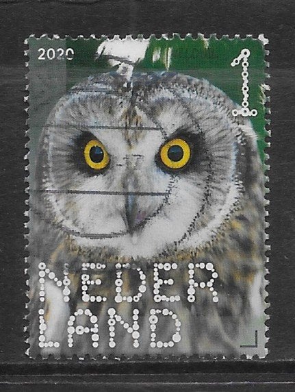 2020, Roofvogels en Uilen, Velduil [3815] (K2411), Ophalen of Verzenden
