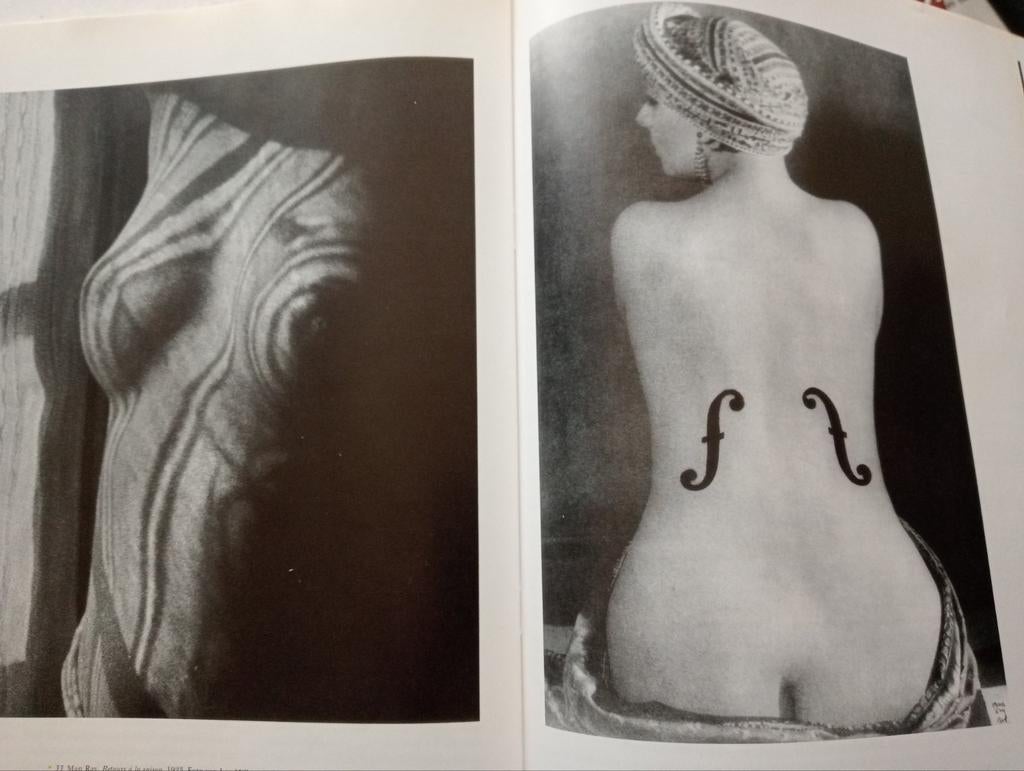 Het Blote Gevaar naakt erotiek in Kunst 1992, Ophalen of Verzenden, Gelezen