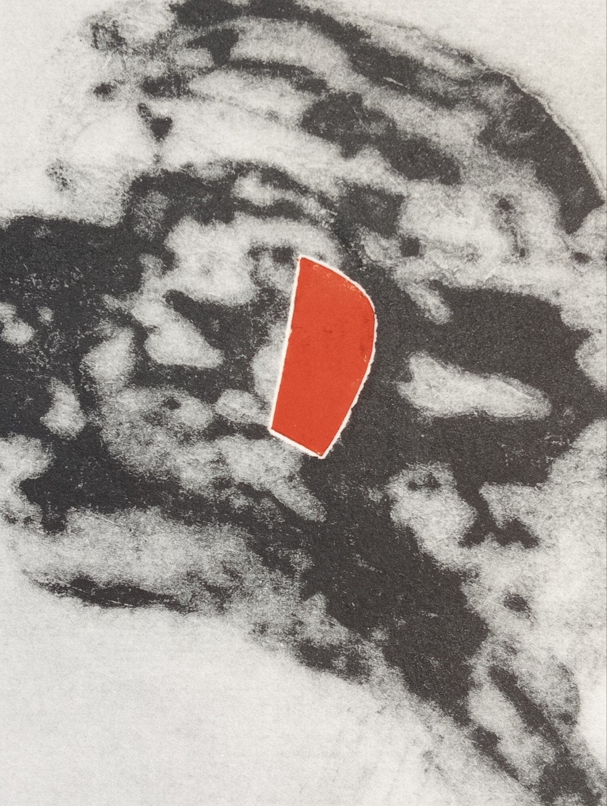 Anneke van der Mandele Ets Flowerbud, Ophalen of Verzenden