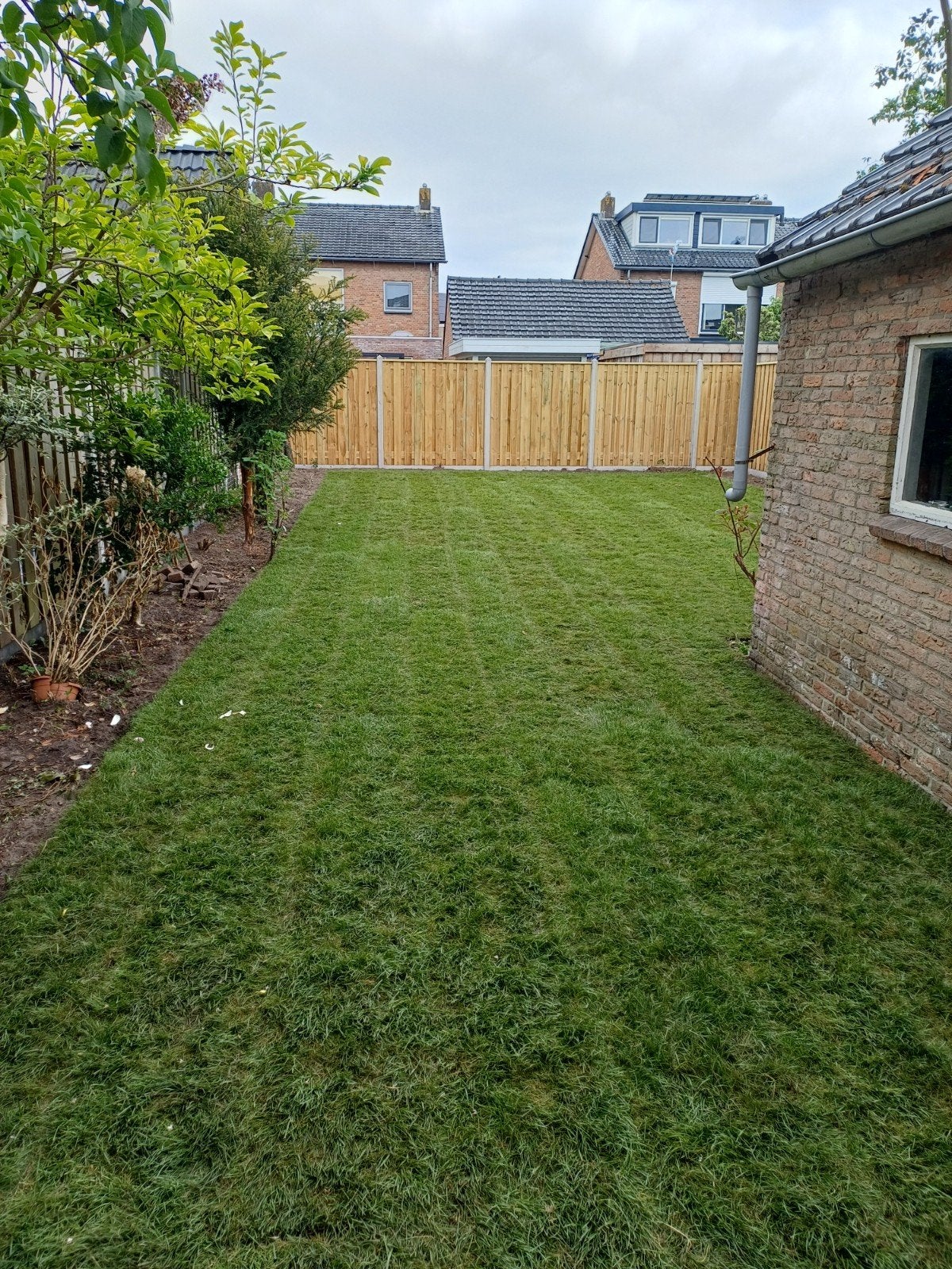 Graszoden grasmatten aanlegservice, Ophalen, Nieuw, 20 m² of meer, Gras