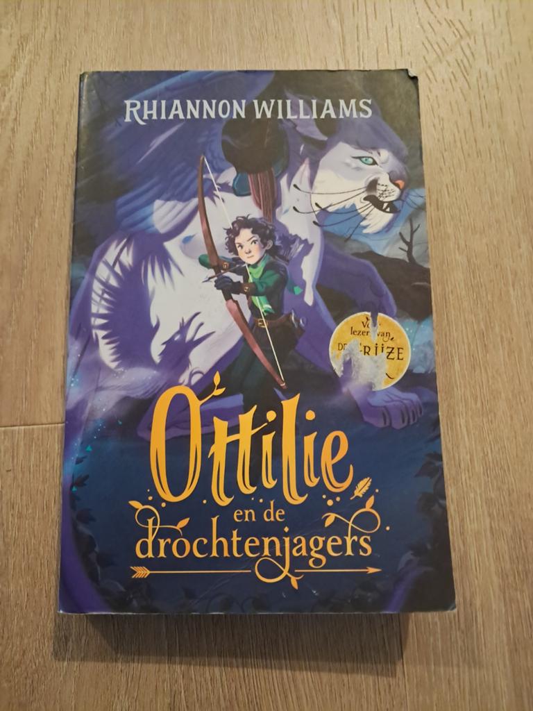 Rhiannon Williams - Ottilie en de drochtenjagers, Ophalen of Verzenden, Zo goed als nieuw, Rhiannon Williams