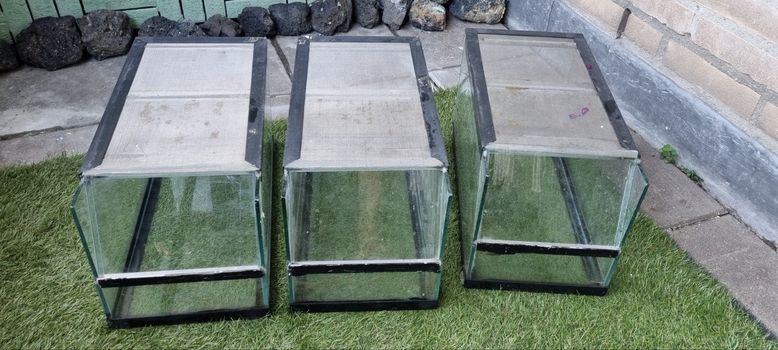 Terrarium 20x40x22, Dieren en Toebehoren, Ophalen