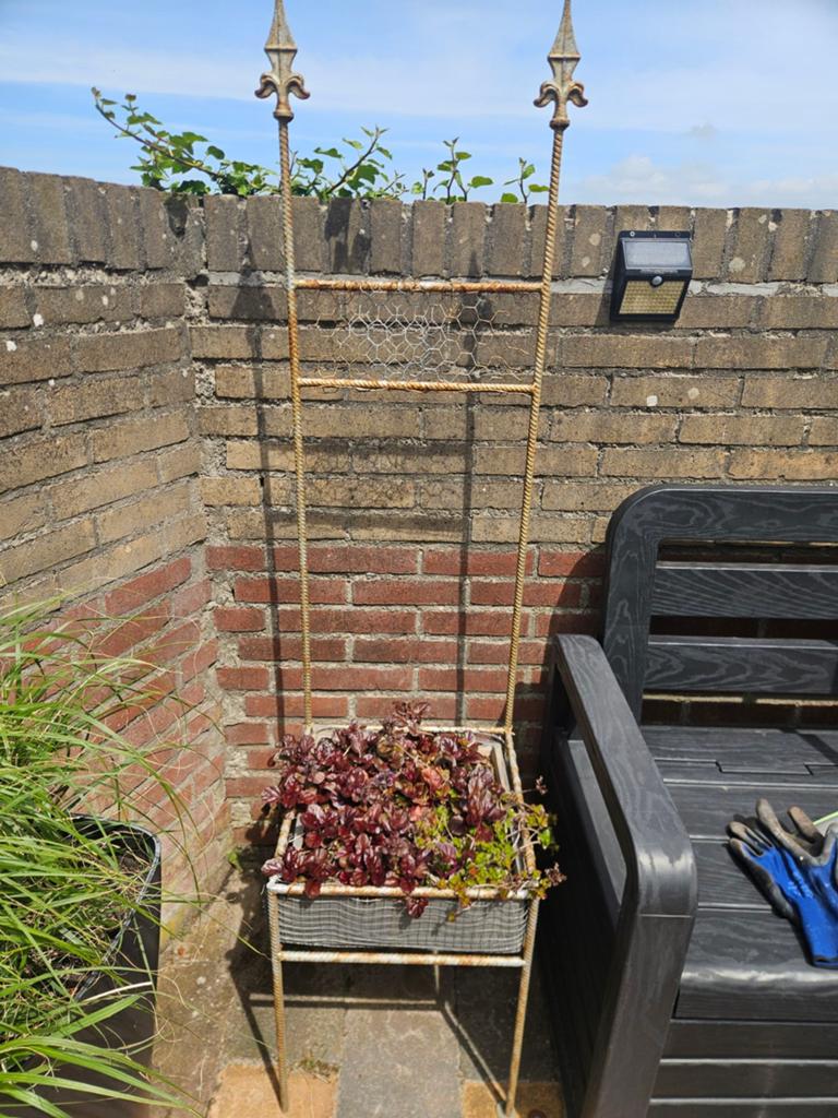 Metalen plantenbak met klimrek, Ophalen, Gebruikt, Minder dan 60 cm, Vierkant