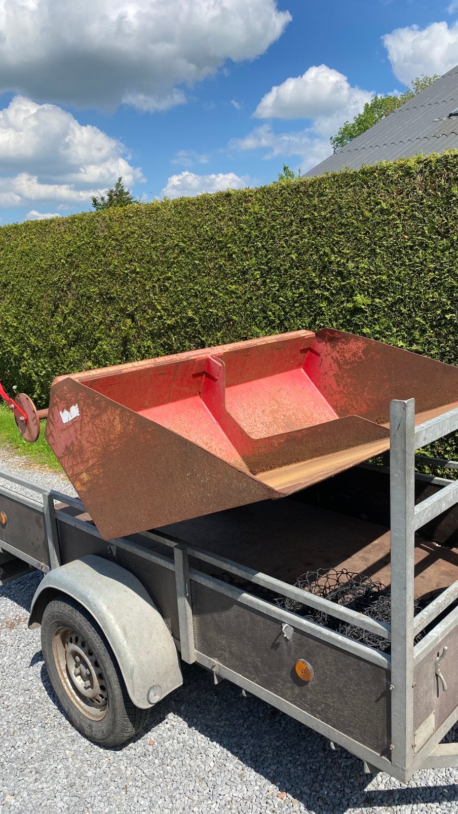 Wifo heftruckbak Barneveldse dubbelgezoomde, Mannelijk, Overige soorten