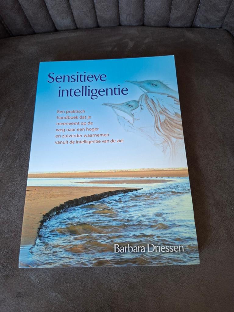 Sensitieve intelligentie - Barbara Driessen, Spiritualiteit algemeen, Ophalen of Verzenden, Zo goed als nieuw, Instructieboek