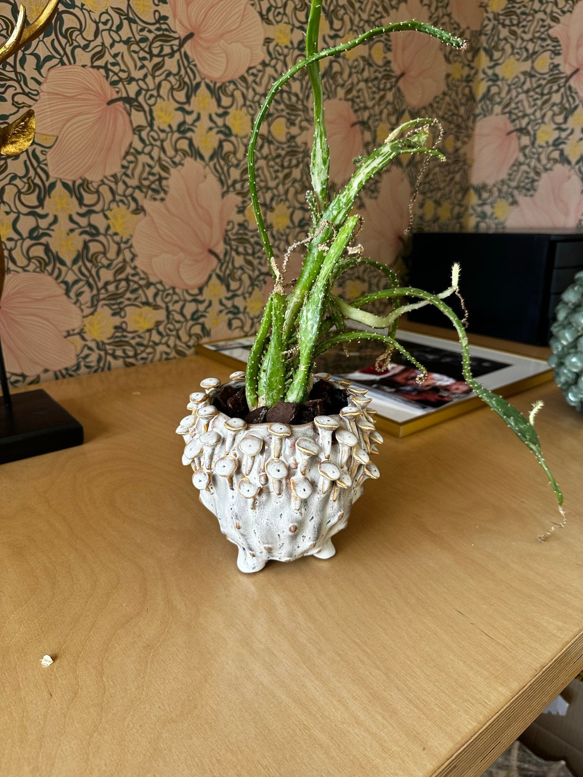 Vaas met cactus, 40 cm hoog, Huis en Inrichting, Ophalen, Gebruikt, Wit, Inclusief decoratie