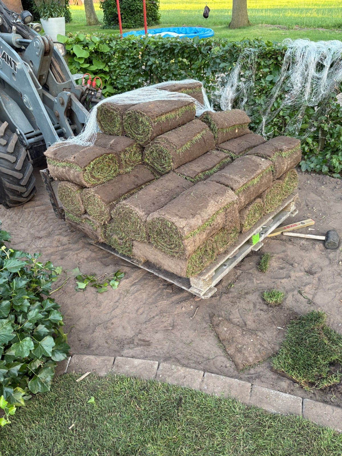 35m2  rollen graszoden, Tuin en Terras, Gras en Kunstgras, Ophalen, Zo goed als nieuw, 20 m² of meer