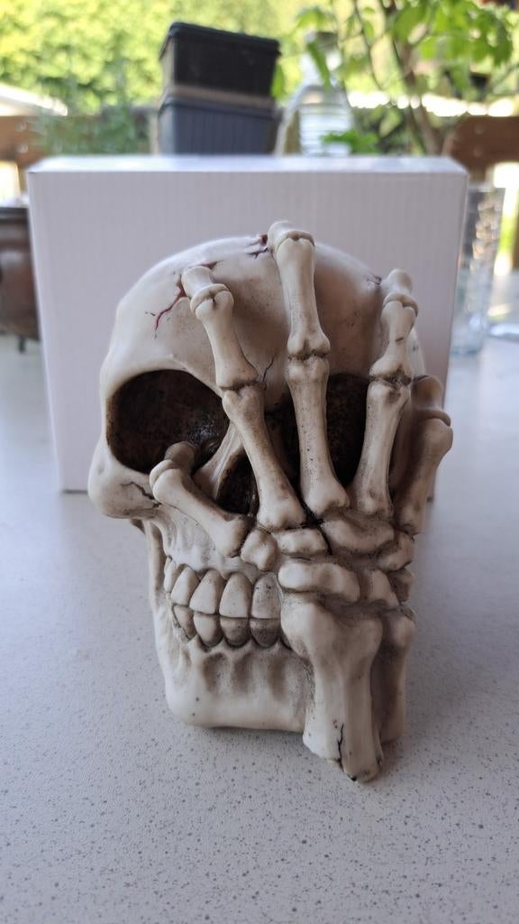 Nieuw schedel met skelet hand, Verzamelen, Beelden en Beeldjes, Verzenden, Nieuw, Fantasy