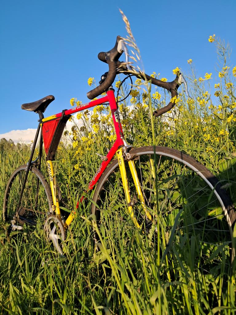 '90s XXL Jan Janssen Tour de France 70 cm frame, Fietsen en Brommers, 28 inch, Gebruikt, 65 cm of meer, Ophalen