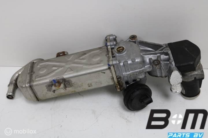 EGR koeler met regelklep VW Tiguan 5N 2.0 TDI CFGC, Gebruikt