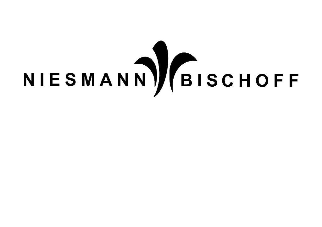 Niesmann Bischoff caravan en camper sticker, Verzenden, Nieuw, Overige typen
