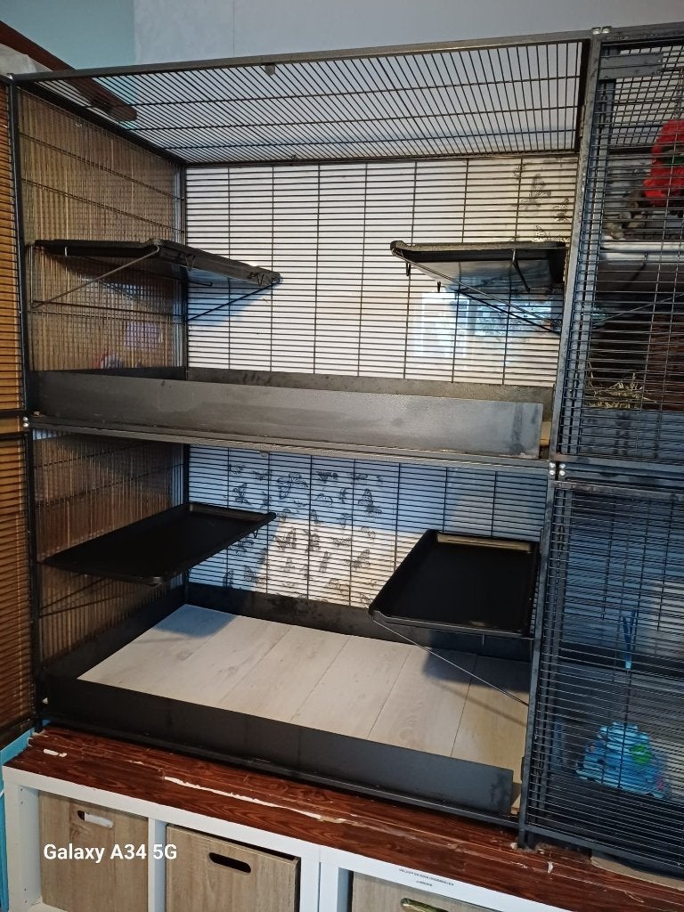 royal suite xl knaagdierkooi, Ophalen, Kooi, 90 cm of meer, Chinchilla