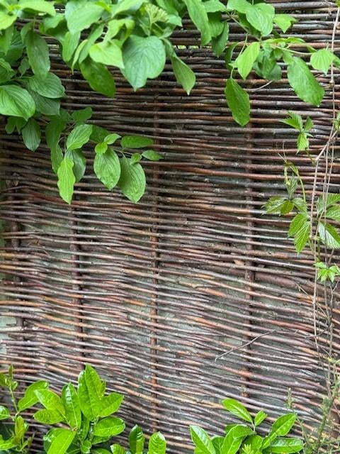 Schuttingdelen wilgenschutting wilgentakkenscherm wilgentene, Tuin en Terras, Schuttingen, Nieuw, Hout, 1 tot 2 meter, Minder dan 3 meter