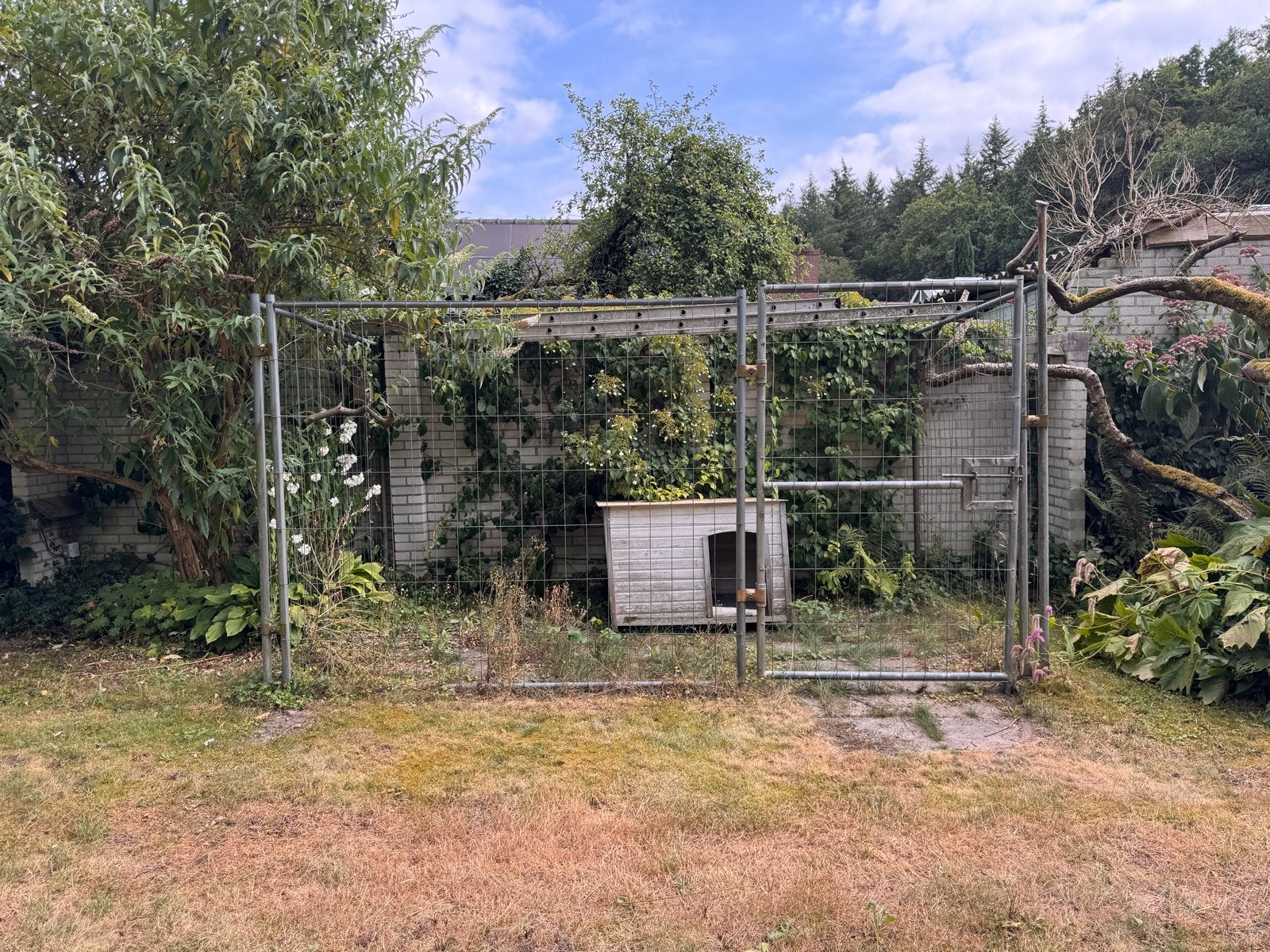 Hondenren voor buiten/tuin, Ophalen, Gebruikt