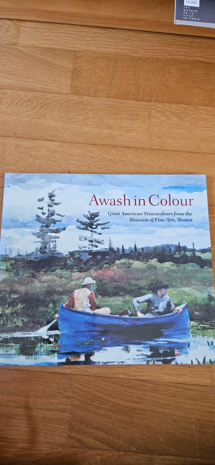 Awash in Colour: Amerikaanse Aquarellen, Boeken, Ophalen of Verzenden, Zo goed als nieuw, Schilder- en Tekenkunst, Niet gespecificeerd op de cover
