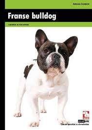 Franse Bulldog door A Louwrier, Verzenden, Zo goed als nieuw, Honden
