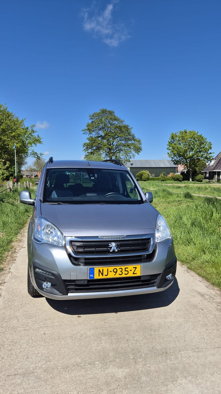 Peugeot Partner 1.2 81KW Tepee 5PL 2016 Grijs, Auto's, Peugeot, Voorwielaandrijving, 1295 kg, 1199 cc, Handgeschakeld