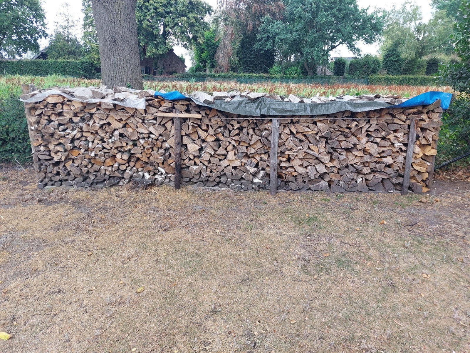 Berken haardhout, Ophalen, Binnen
