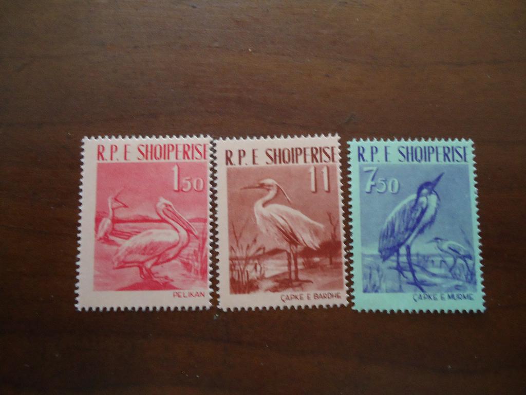 Vogels Albanië 1961, mi. 630-32 postfris/ongebruikt, Ophalen of Verzenden, Postfris, Dier of Natuur