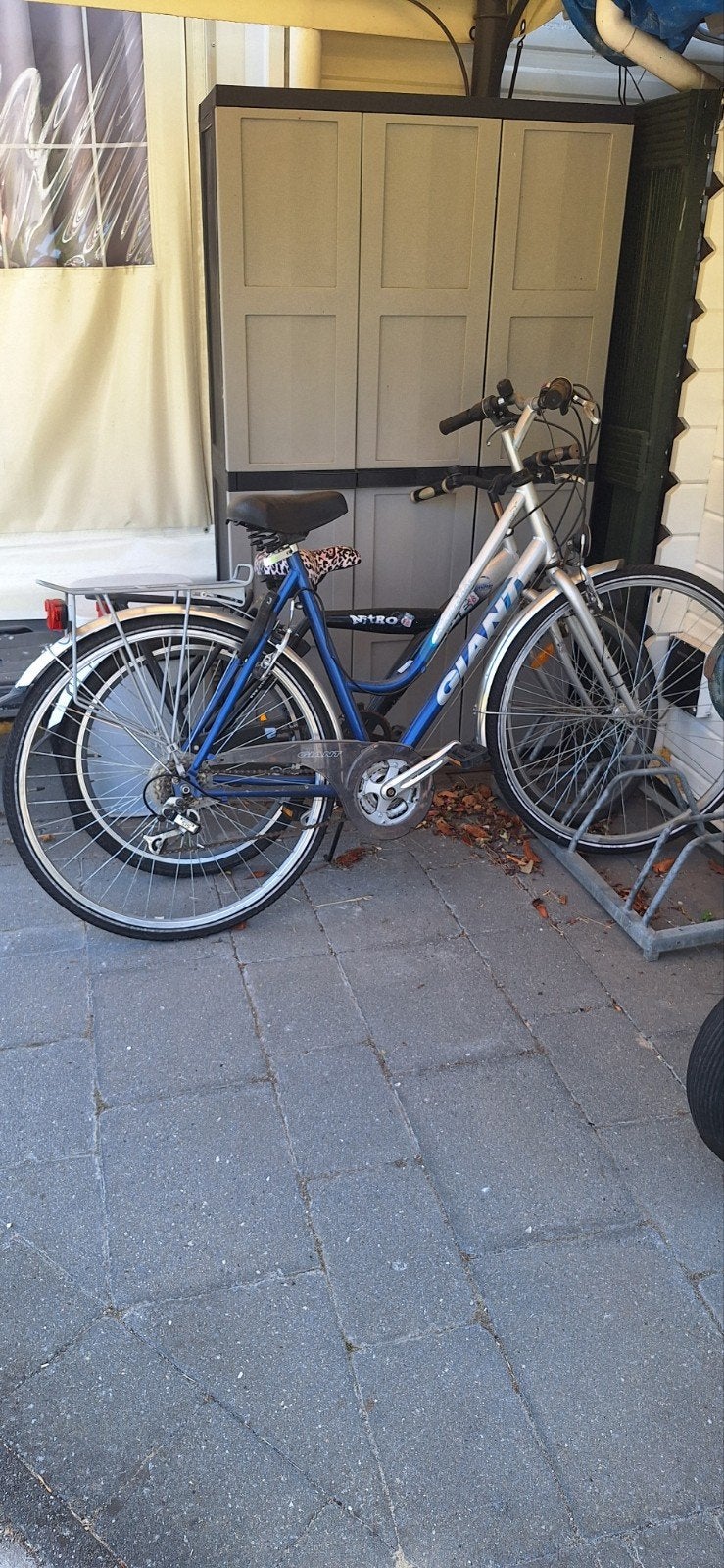 Fiets te koop in Roggel, Ophalen, Gebruikt, Giant
