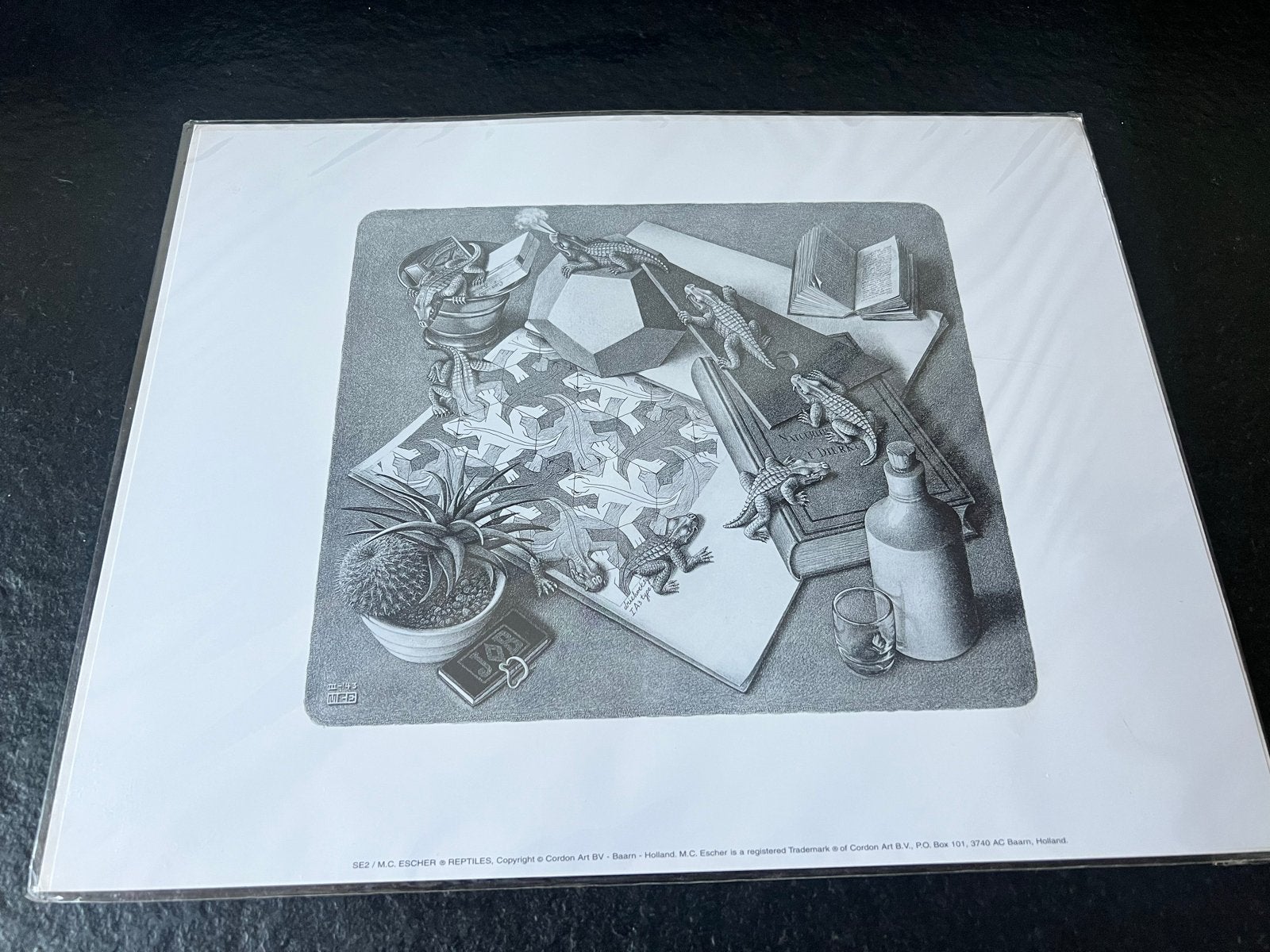 Vintage M.C. Escher poster REPTILES - 36x28 cm, Ophalen of Verzenden