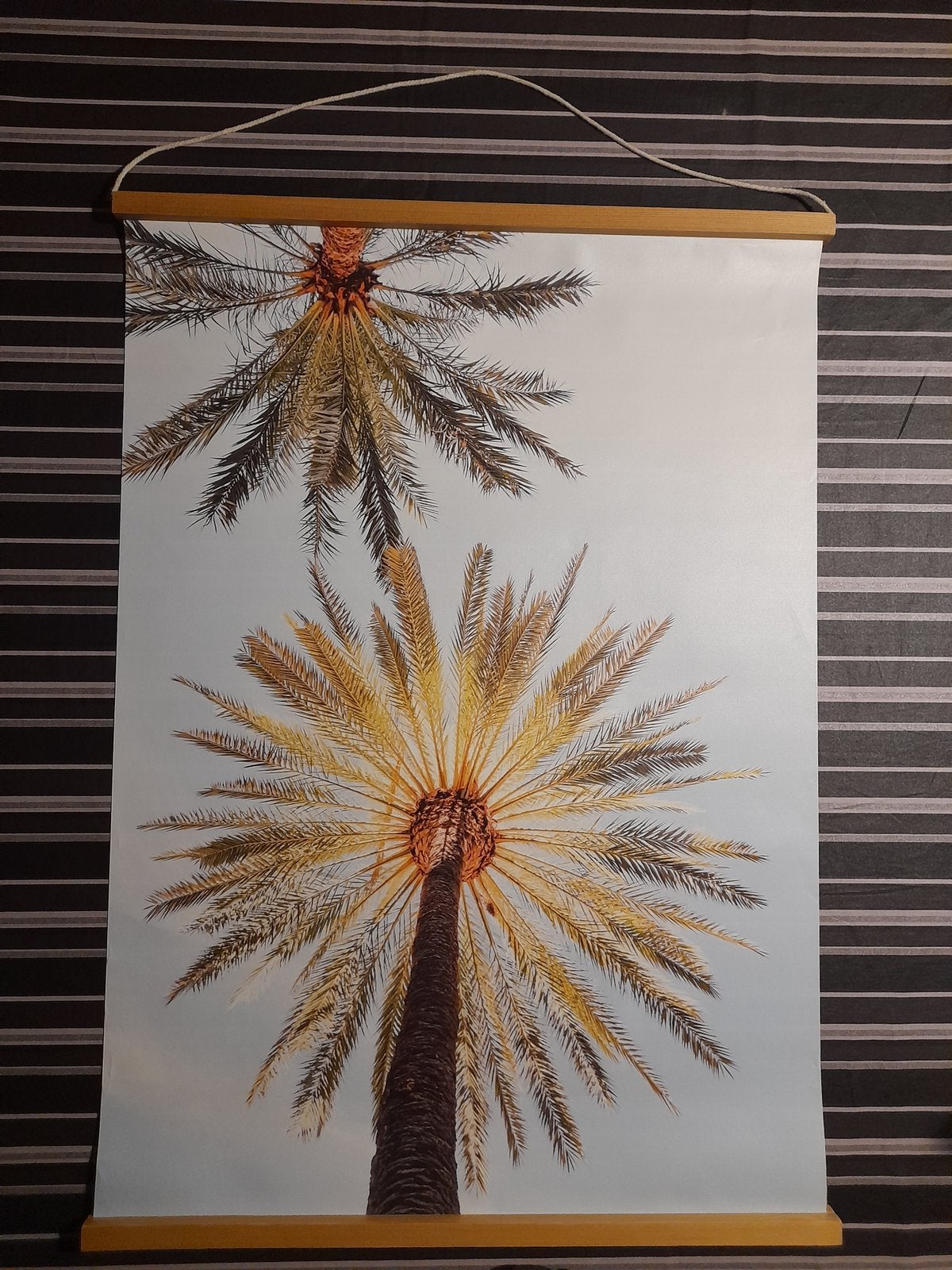 Plaat/hanger met een afbeelding van palmbomen., Ophalen of Verzenden, Zo goed als nieuw, Wandhanger