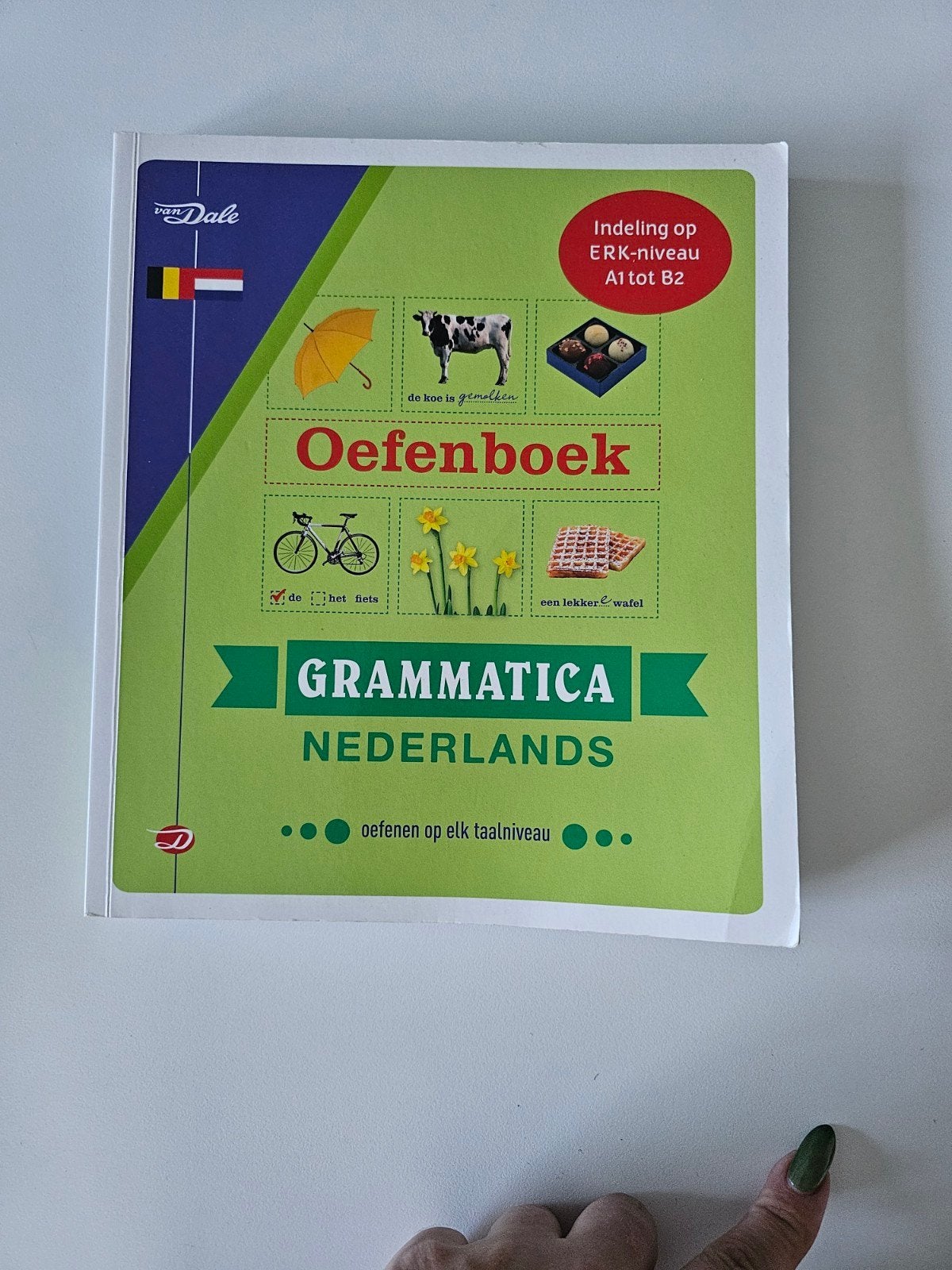 Van Dale Oefenboek Grammatica Nederlands A1-B2, Boeken, Non-fictie, Van Dale, Nederlands, Ophalen of Verzenden