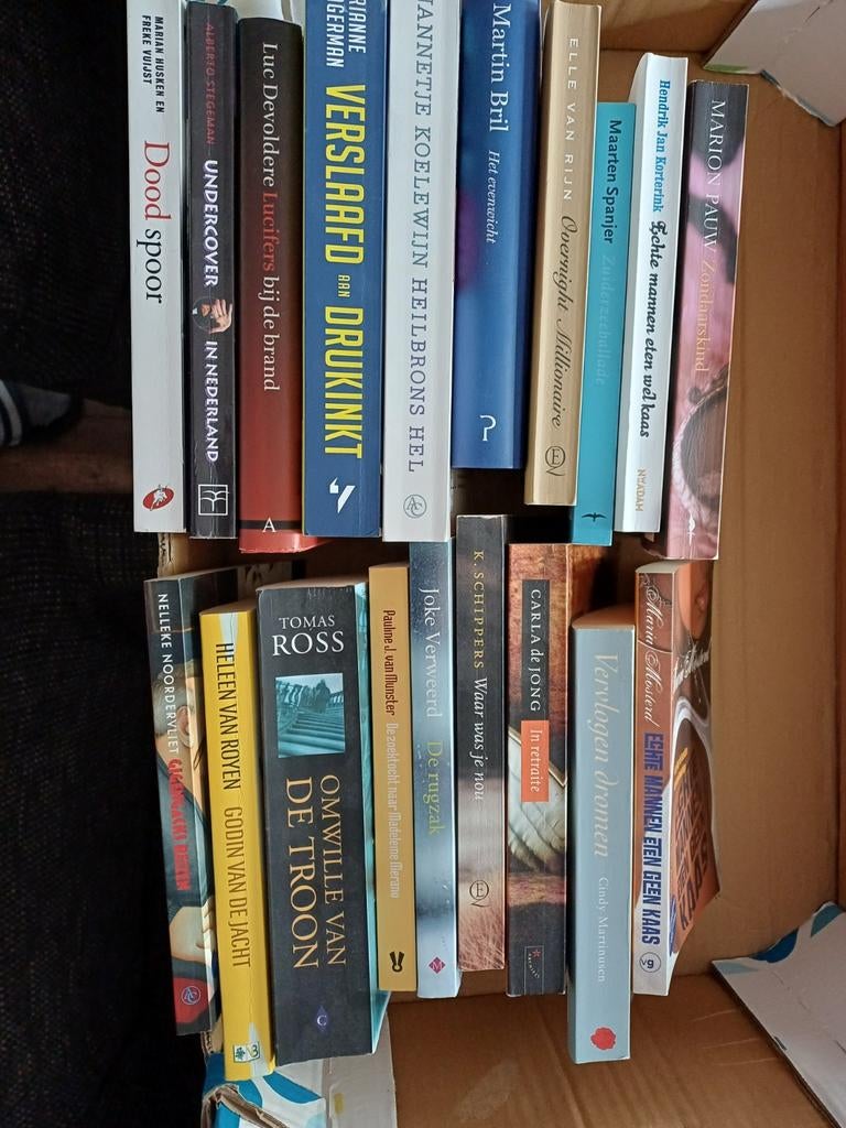 Ophalen in Apeldoorn boekenpakket: Romans, thrillers en meer, Ophalen, Gelezen, Diverse auteurs, Nederland
