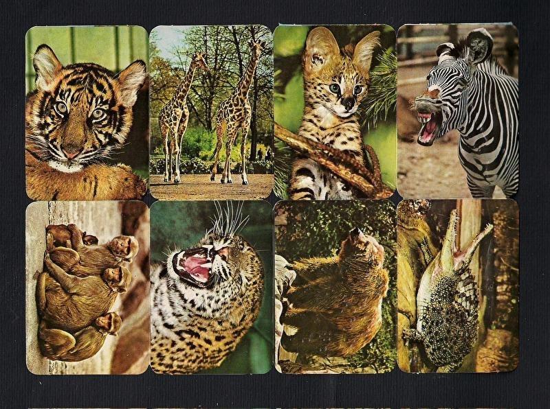 Kruger 99/28 Dierentuindieren poezieplaatjes, Verzamelen, Verzenden