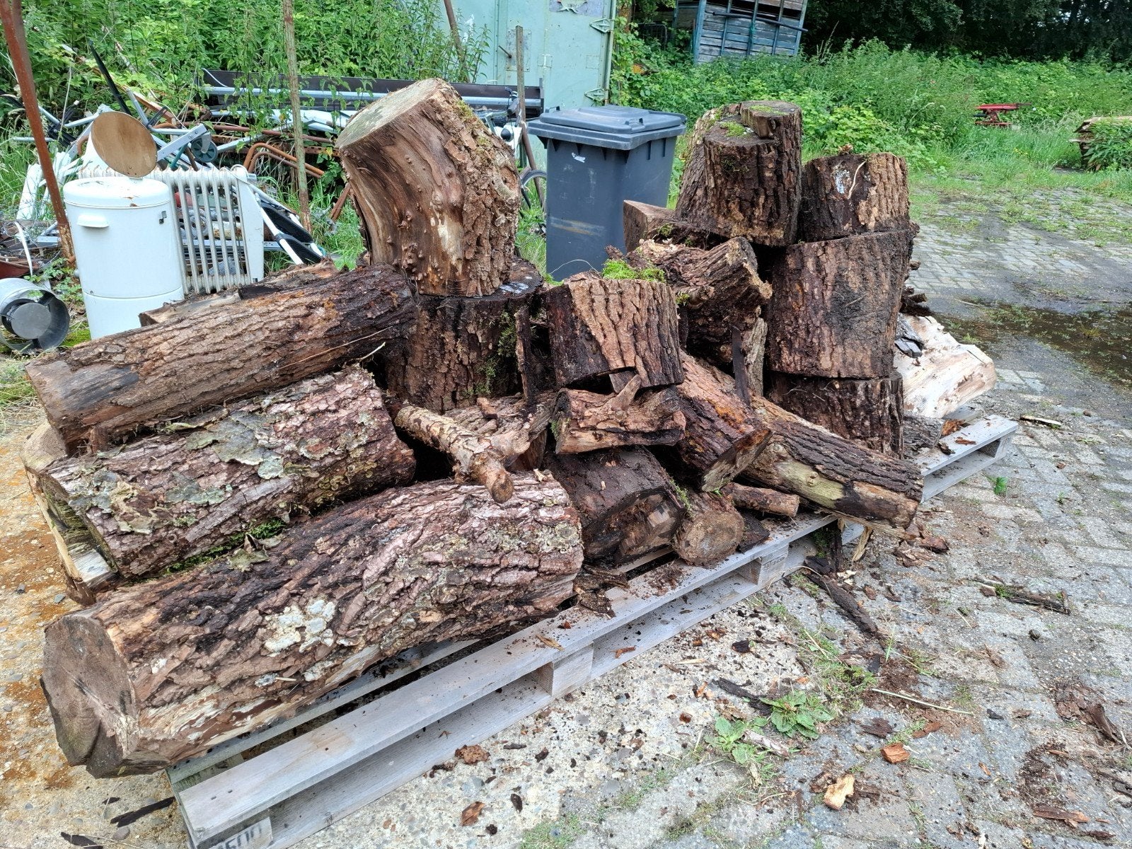 stookhout, Tuin en Terras, Minder dan 3 m³, Ophalen, Overige houtsoorten