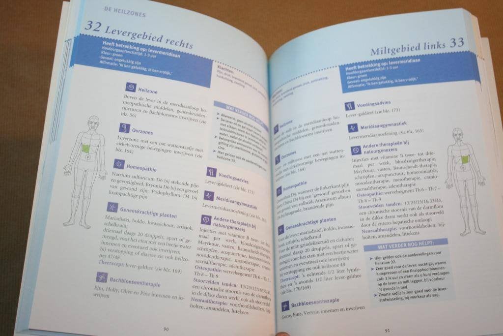 Heilzone therapie praktisch toepassen, Boeken, Ophalen of Verzenden, Zo goed als nieuw, Overige onderwerpen, Achtergrond en Informatie