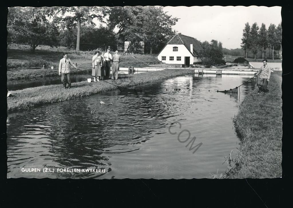 Gulpen - Forellen kwekerij [003-5315, Verzenden, 1940 tot 1960, Ongelopen, Limburg