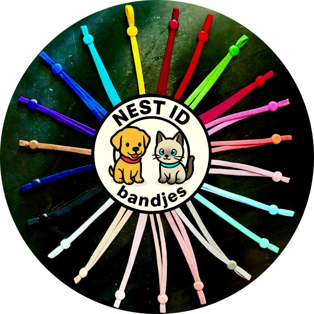 😻 Kitten Identificatie Bandjes 😻 GRATIS Verzending! 💨🔜, Dieren en Toebehoren, Ophalen of Verzenden, Nieuw