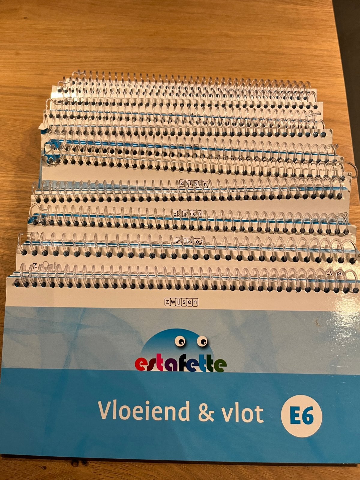 Vloeiend en vlot E6 estafette tempo lezen, Boeken, Schoolboeken, Ophalen of Verzenden, Zo goed als nieuw, Overige niveaus, Nederlands