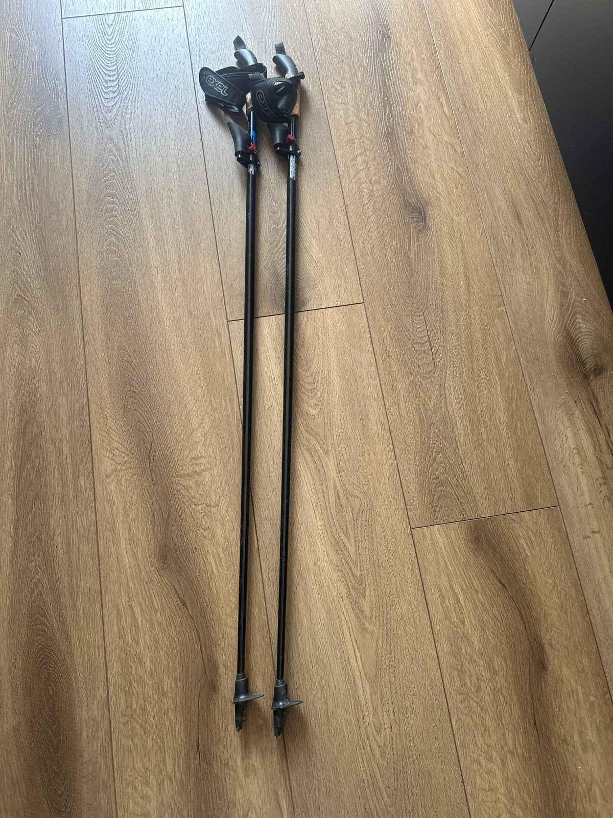 Exel Nordic Walking Stokken  100 cm- Carbon Index CI450, Sport en Fitness, Ophalen, Gebruikt