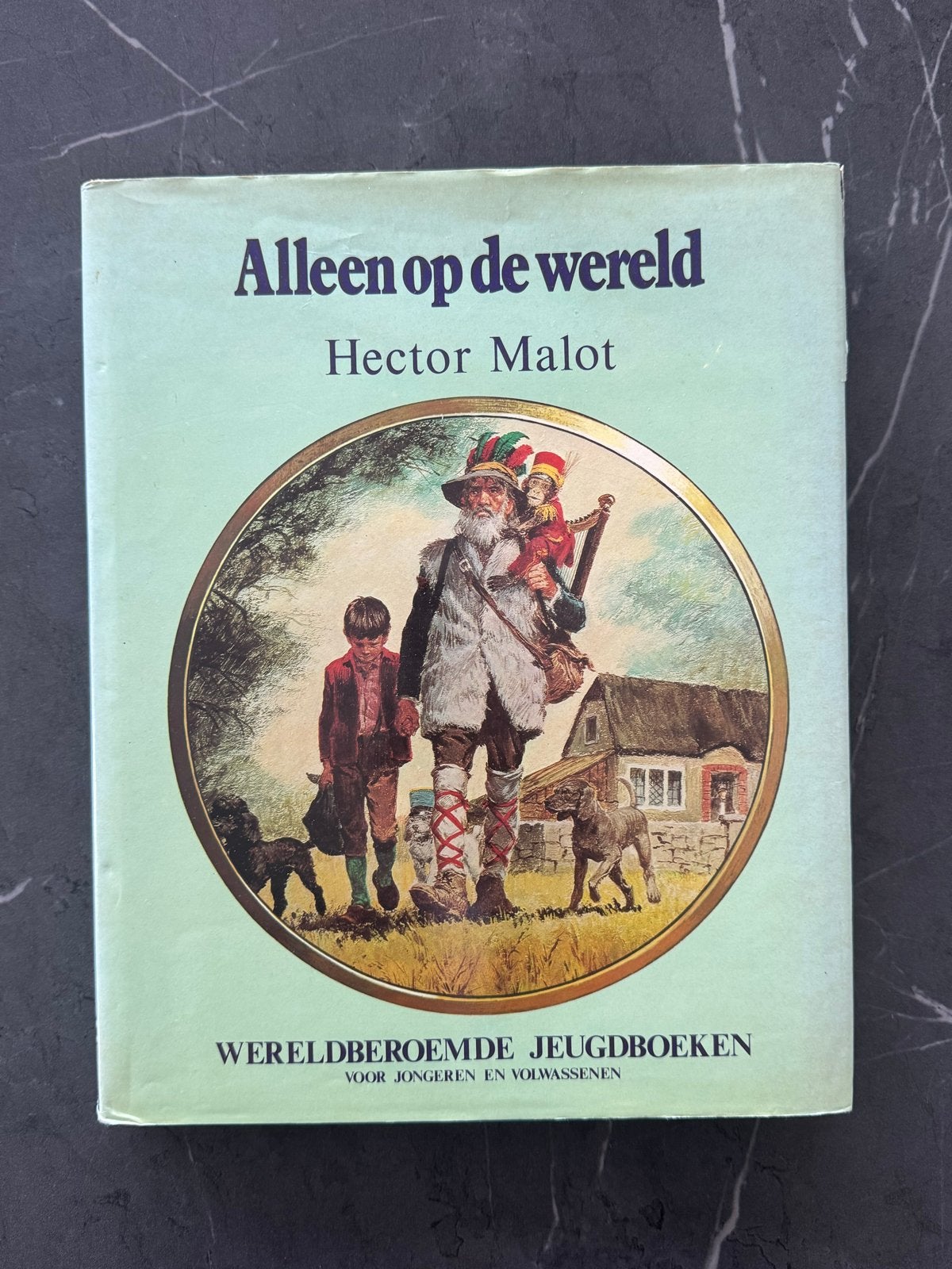 Alleen op de wereld - Hector Malot (Jeugdboek), Ophalen of Verzenden, Gelezen, Fictie