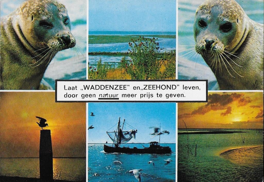q1190 Ongelopen ansichtkaart waddenzee - texel, Ophalen of Verzenden, 1980 tot heden, Ongelopen, Waddeneilanden