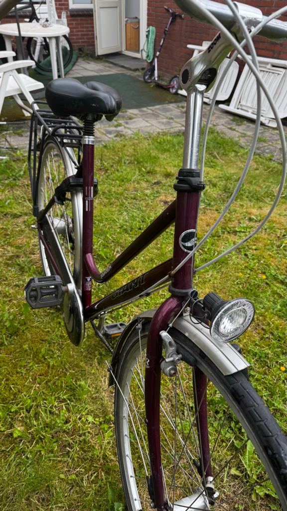 Giant meisjesfiets - Goede staat, Gebruikt, Velgrem, Versnellingen, 50 tot 53 cm