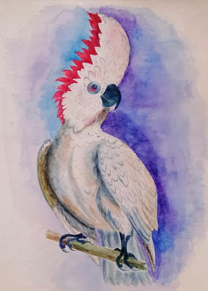 Aquarel van witte kaketoe - papegaai, Ophalen of Verzenden