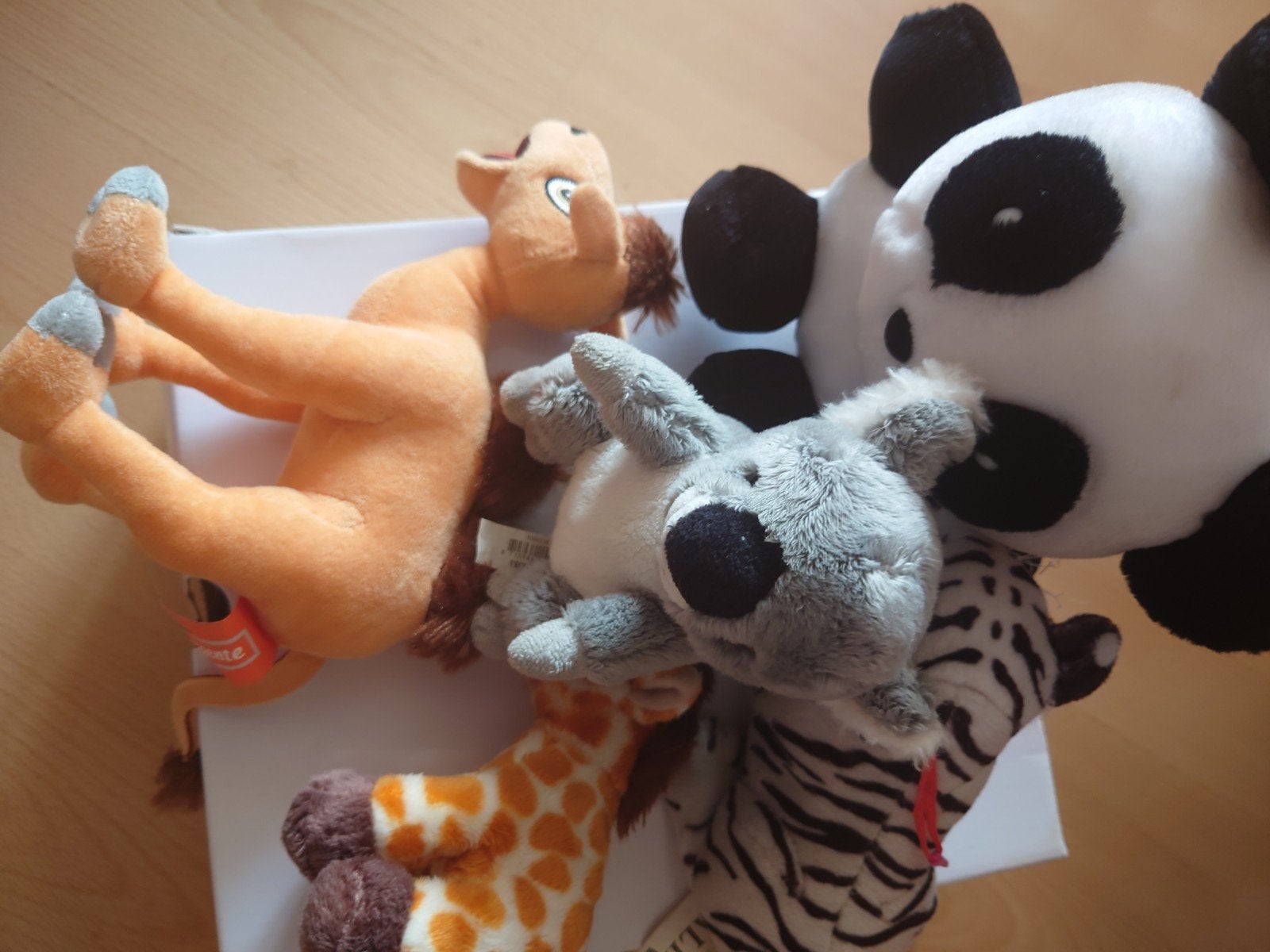 Gratis knuffels gezocht, Ophalen, Gebruikt, Overige typen, Klein (minder dan 20 cm)