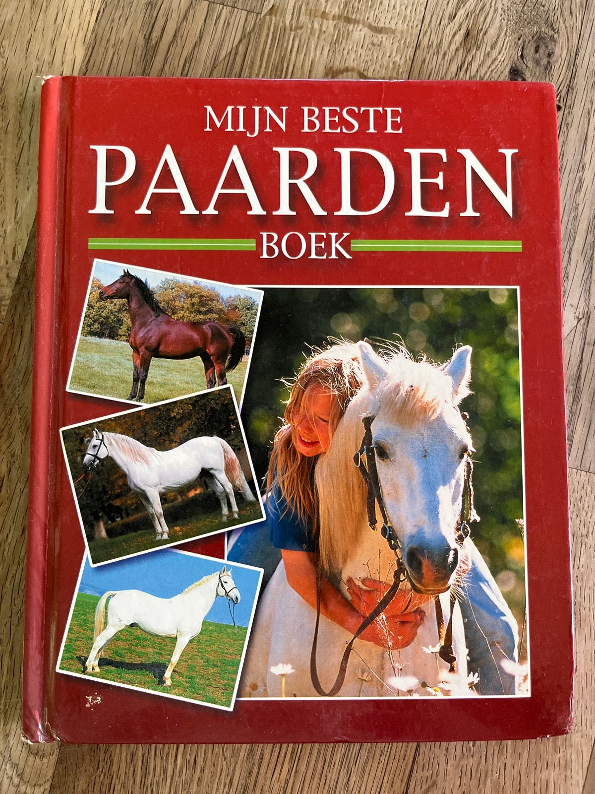 Mijn Beste Paardenboek - Alles over paarden, Boeken, Ophalen of Verzenden, Gelezen, Non-fictie