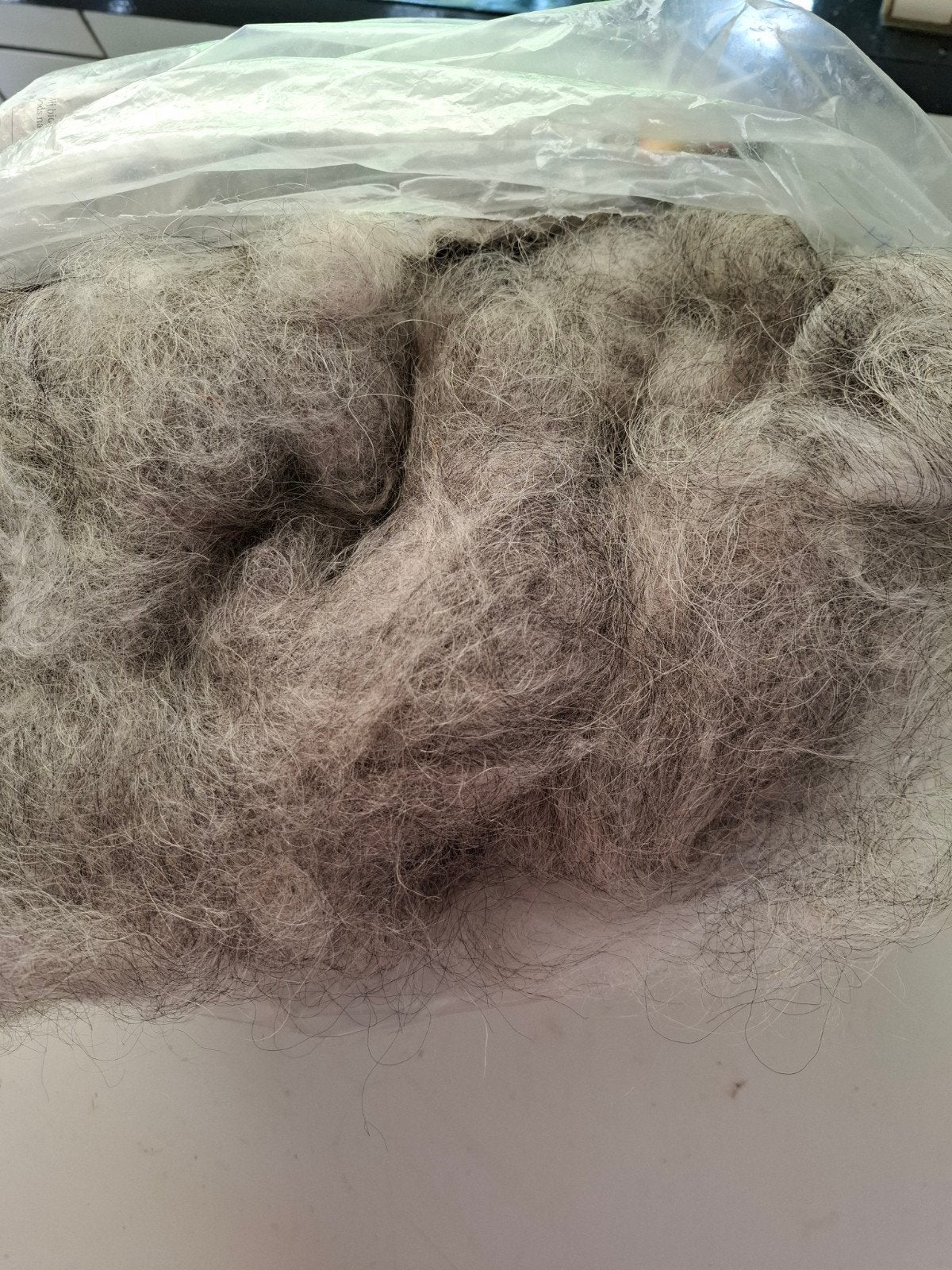 kaardvlies  van  Spelsau schaap, Ophalen of Verzenden, Nieuw, Spinwol