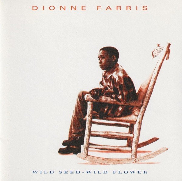 Dionne Ferris, Cd's en Dvd's, Ophalen of Verzenden, Gebruikt, Poprock
